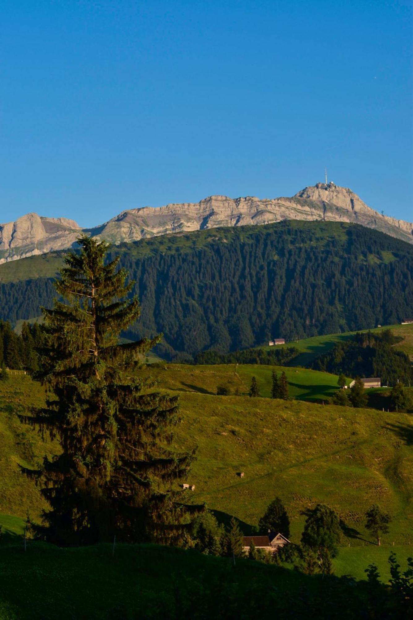 Ferienwohnung In Buehler Naehe Appenzell Buhler Kültér fotó